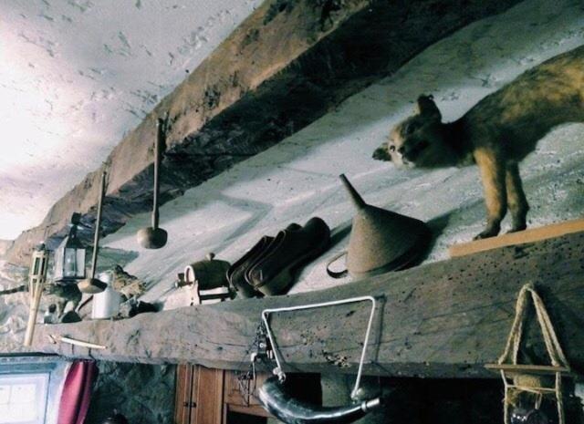パレーデス・デ・コウラ Casa Boavistaヴィラ エクステリア 写真
