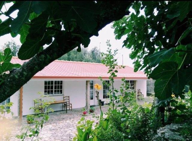 パレーデス・デ・コウラ Casa Boavistaヴィラ エクステリア 写真