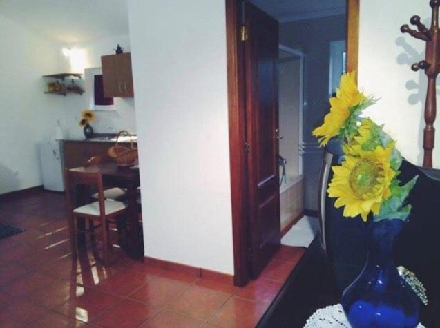 パレーデス・デ・コウラ Casa Boavistaヴィラ エクステリア 写真
