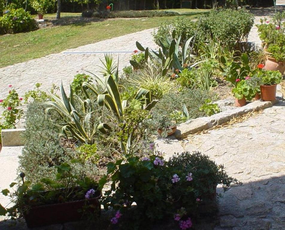 パレーデス・デ・コウラ Casa Boavistaヴィラ エクステリア 写真