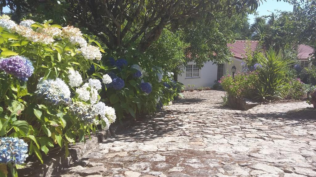 パレーデス・デ・コウラ Casa Boavistaヴィラ エクステリア 写真